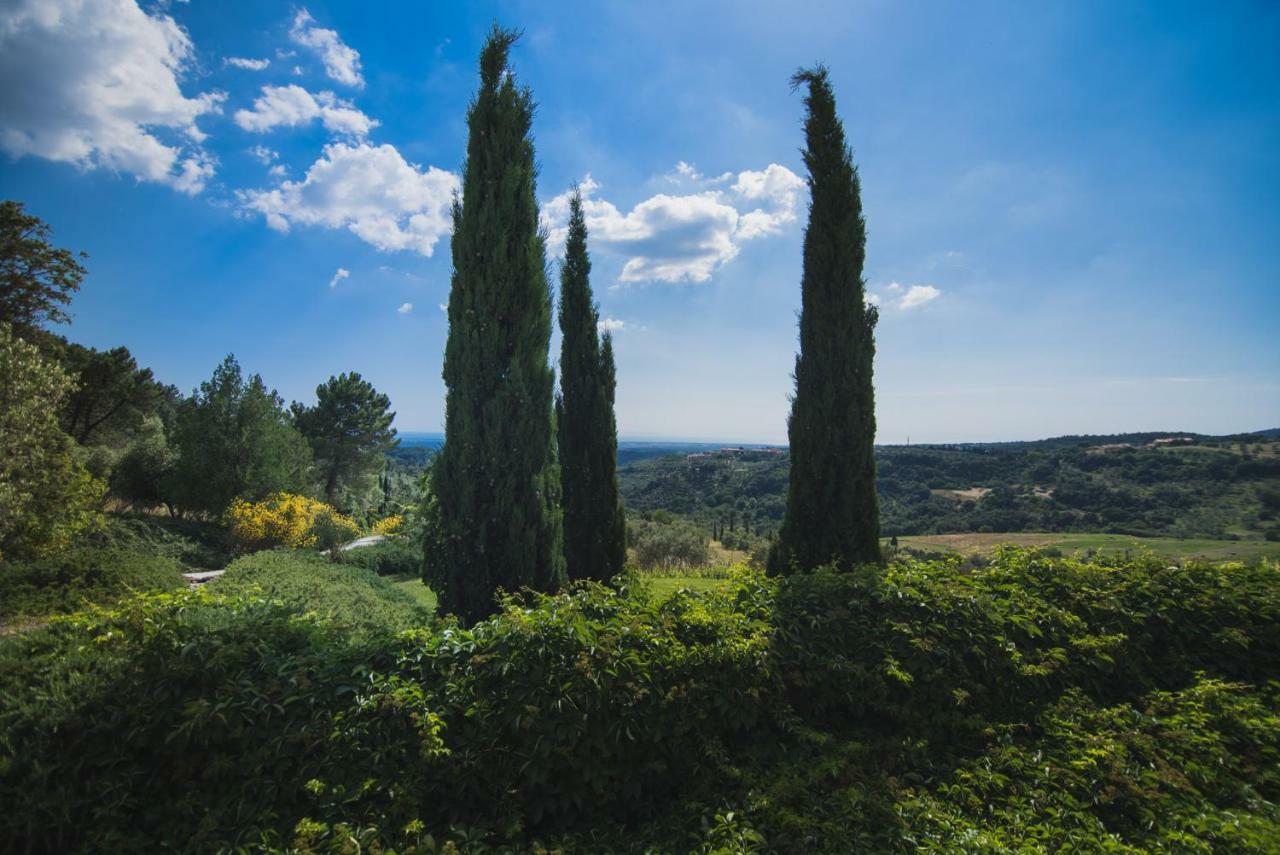 Villa Cava Alta Riparbella Exterior foto